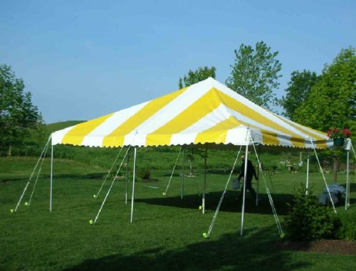 CANOPY, 20X20