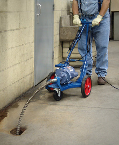 ELECTRIC EEL ROOTER