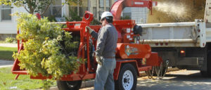 12" CHIPPER/SHREDDER
